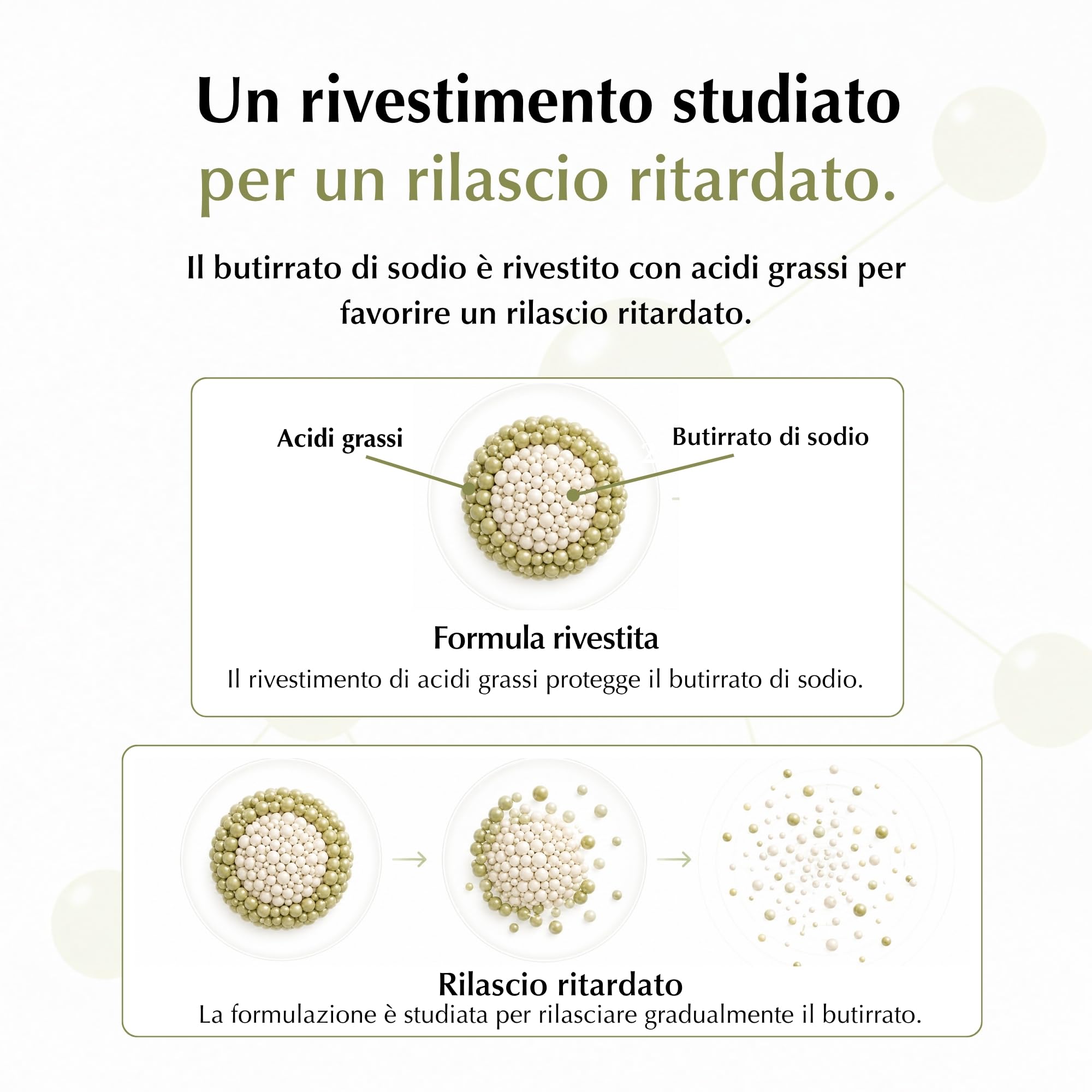 OPTIM Butyrate Integratore Butirrato di Sodio, Pack 4 x 90 Capsule | Acido Butirrico, Microincapsulato Lento Rilascio nel Intestino, Colon Transito Intestinale, Altamente Dosato, Vegano