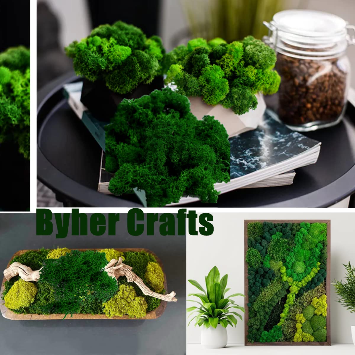 customers save 60 on order Wg, DIY C, R Mr P P, B Fake Moss, C & S, Ts