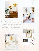 Vista 5 de Juego de flores secas naturales, flores secas a granel para jarrón, flores secas con tallos, rosas secas, mini ramos de flores secas (marrón)