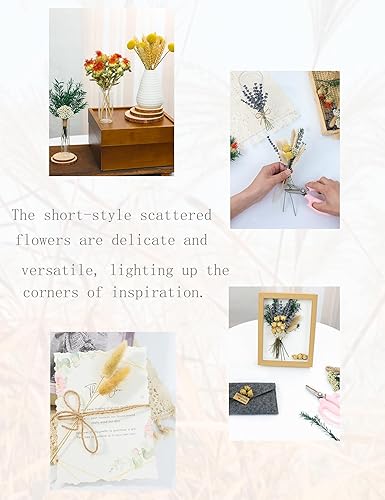 Miniatura 5 de Juego de flores secas naturales, flores secas a granel para jarrón, flores secas con tallos, rosas secas, mini ramos de flores secas (marrón)