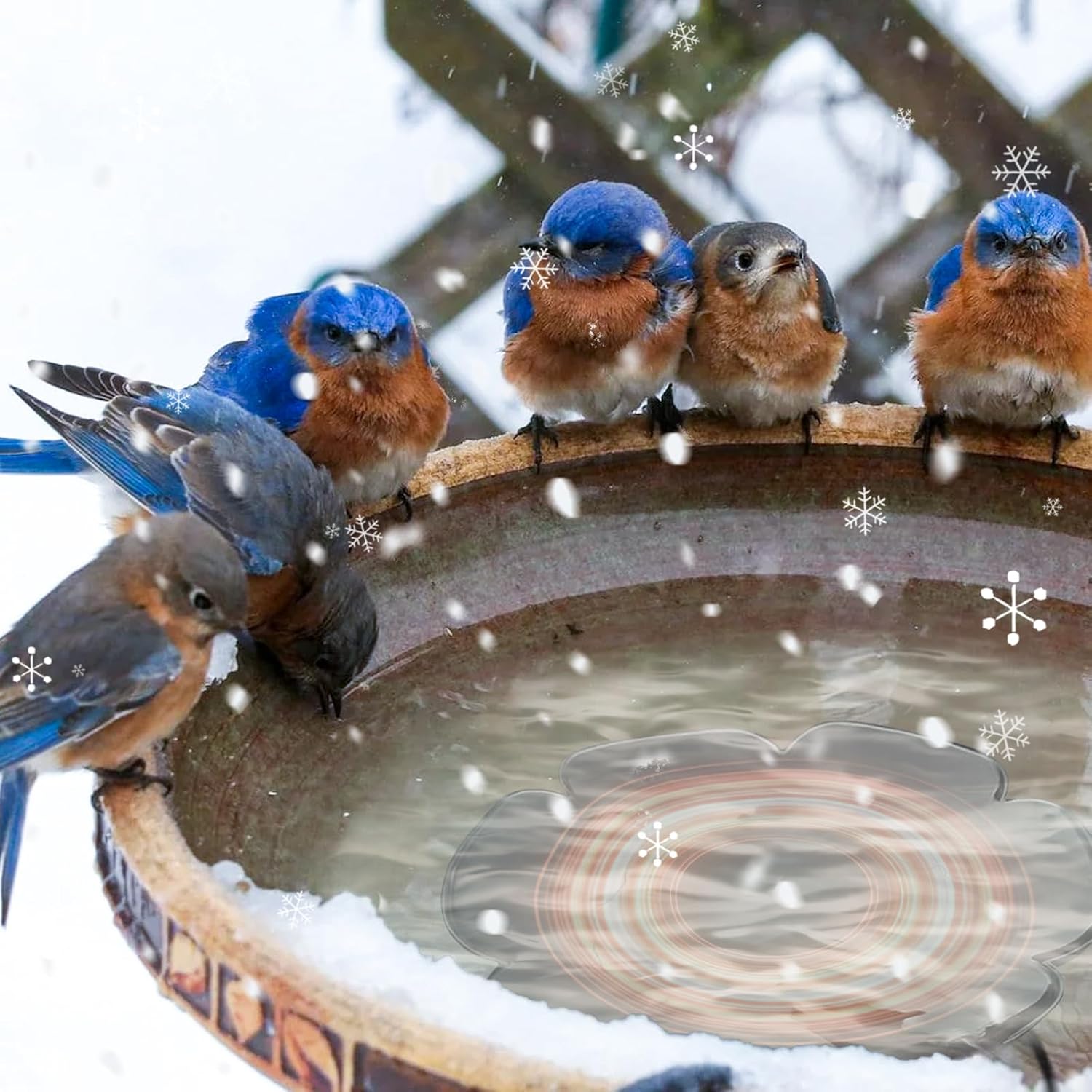 2-Pack 250W Bird Bath Heater for Outdoor Winter Use – Thermostatically Controlled De-Icer for Birdbaths, Ponds & Livestock Water, Keeps Water Ice-Free for Birds, Chickens & Small Animals