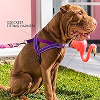 Vista 7 de Arnés ajustable para perro de EzyDog, S, Anaranjado