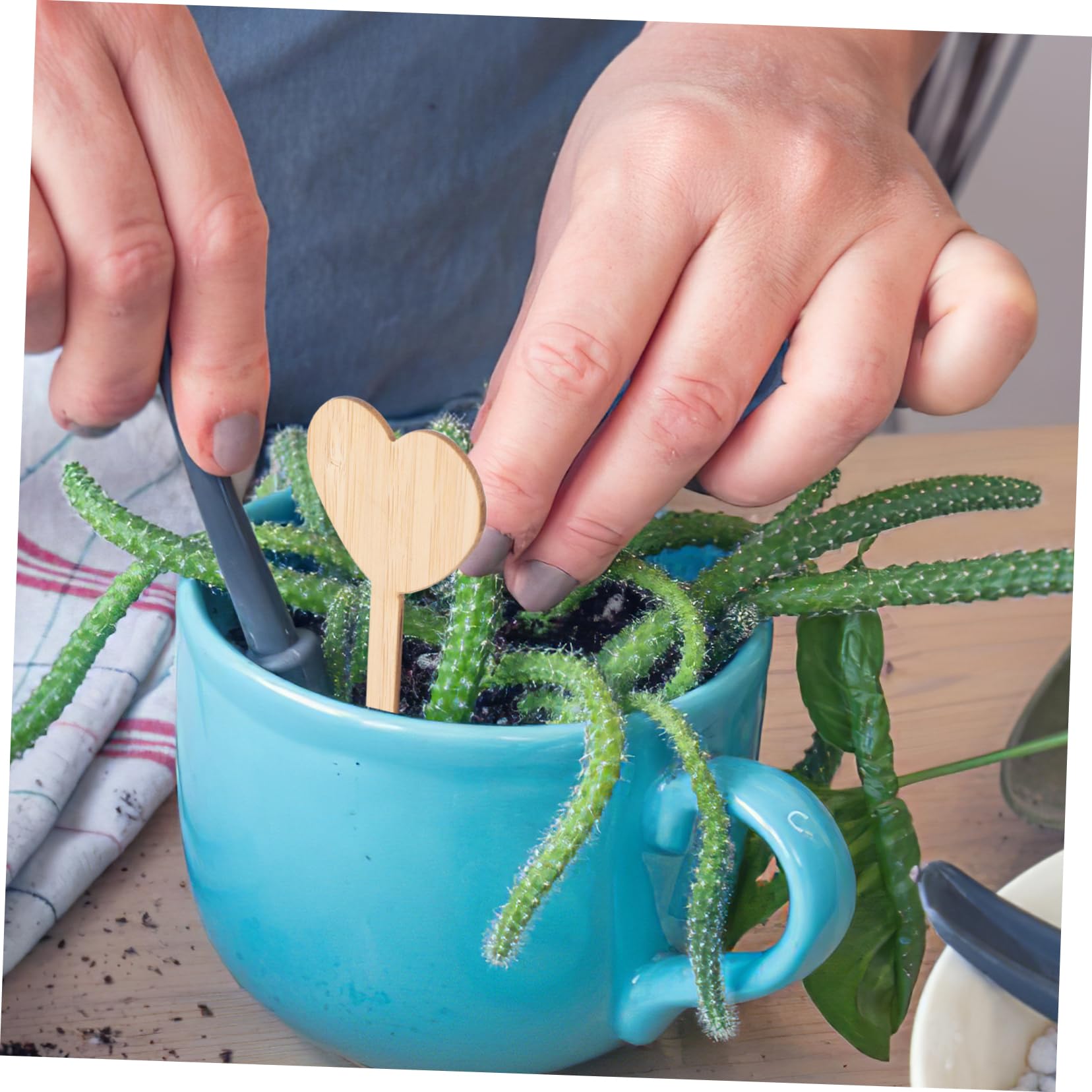 BESPORTBLE 5 Sätze Lustige Gartendeko Pflanzen Anlage Pole Gartenmarkierungen Indoor Plants House Plants Gewächshäser Blumenkennzeichnungstafeln Baumschulmarker Hölzern 20 Stück * 5
