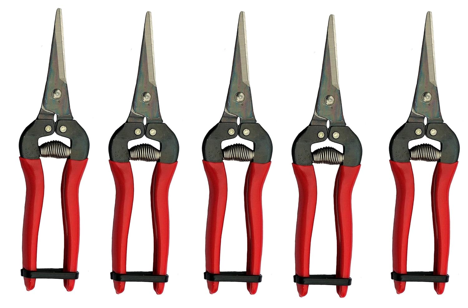 ARS HP300L Needle Nose Fruit Pruners (5 Pack) Amazon.in Garden
