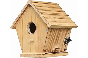 STARSWR Unpainted Natural Wood Bird House for Outside