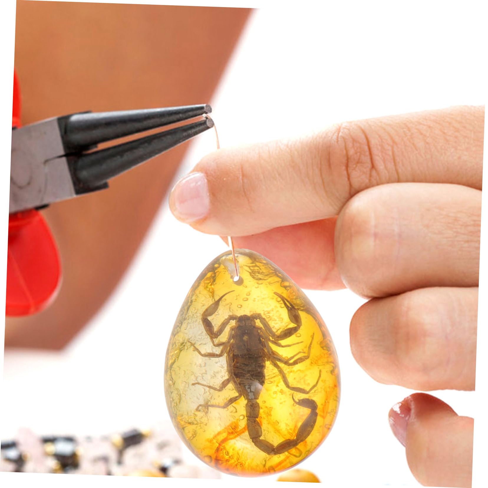 TOYANDONA 15pezzi Insetti Decorazioni Per Collezionisti e Appassionati Insetti Specimen e
