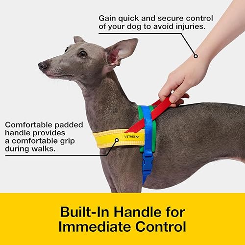 Miniatura 10 de VETRESKA Arnés sin tirones para perros medianos y grandes, juego de arnés y correa para perro fácil de caminar, arnés de chaleco para pasear y
