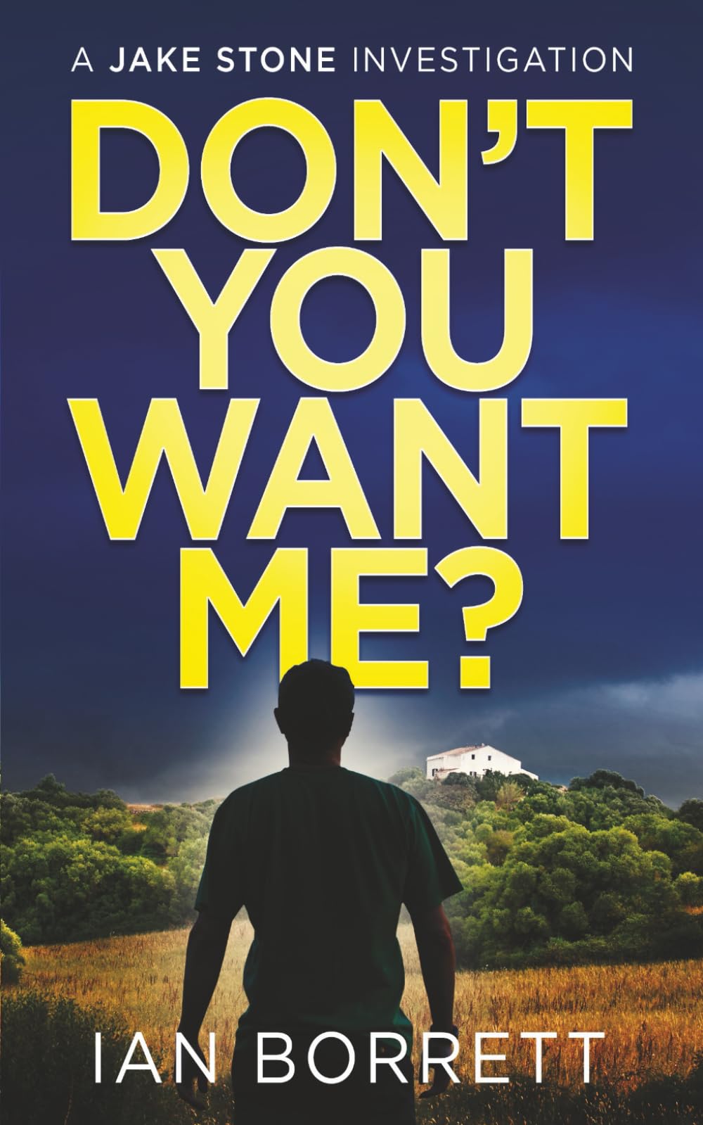 Don't You Want Me? (Jake Stone Investigations)