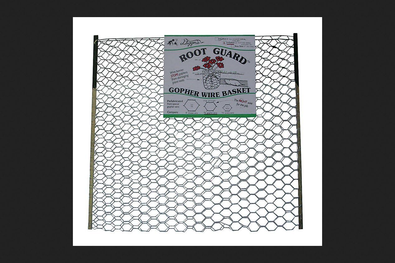 boUod 5pcs 5 Gallon Gopher and Vole Wire Baskets Protect