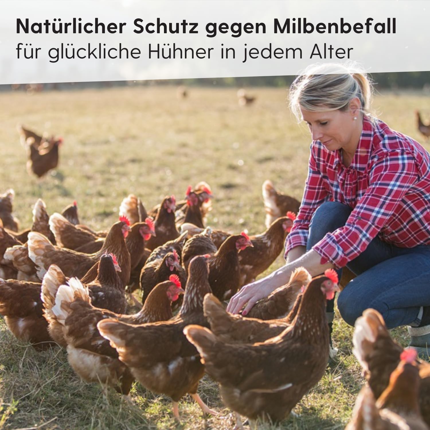 Leimüller Mangime per Galline Contro gli Acari 25 kg - Mangime per galline privo di polvere da 25 kg con certificato AMA e privo di OGM