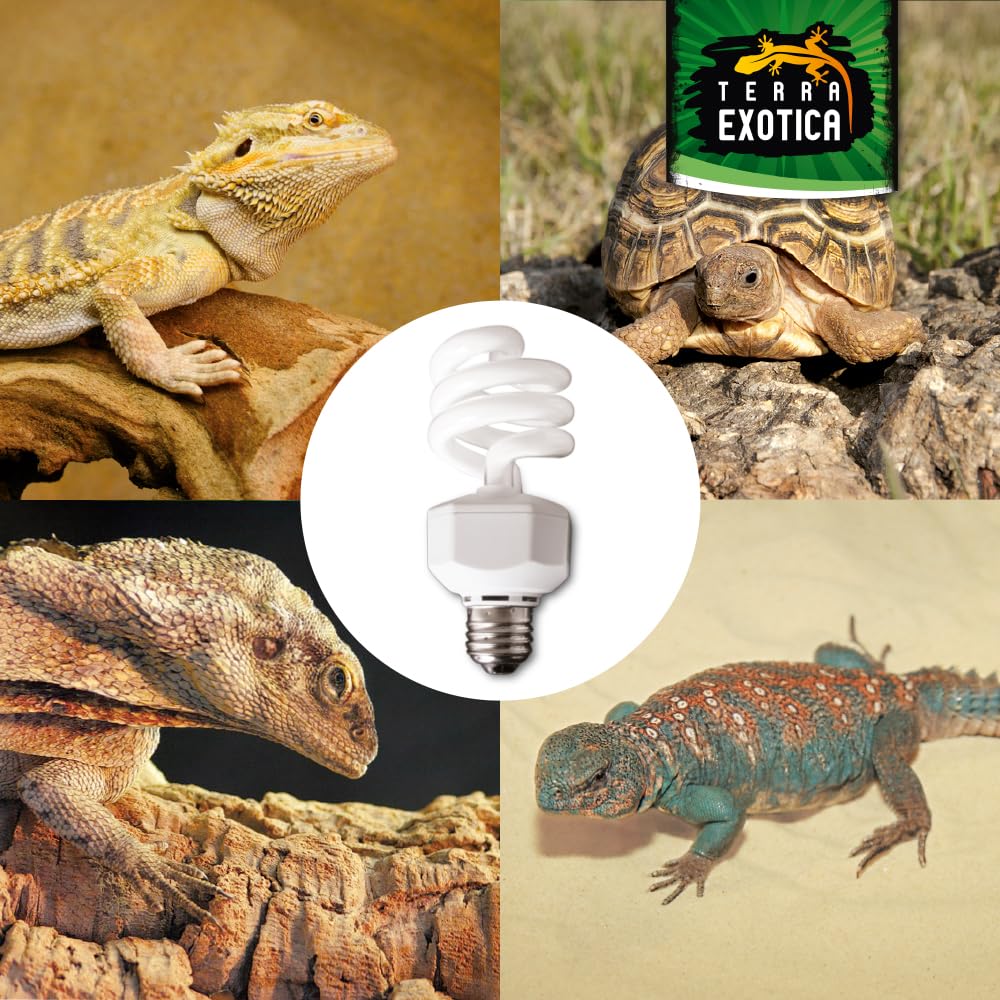 Terra Exotica Compact Desert 10.0 UVB Lampe - Auswahl zwischen 2.0, 5.0, 8.0 und 10.0 UVB Lampen für Ihr Terrarium - Ideal für Reptilien aus Wüsten und Steppen z.B Bartagamen und Nager