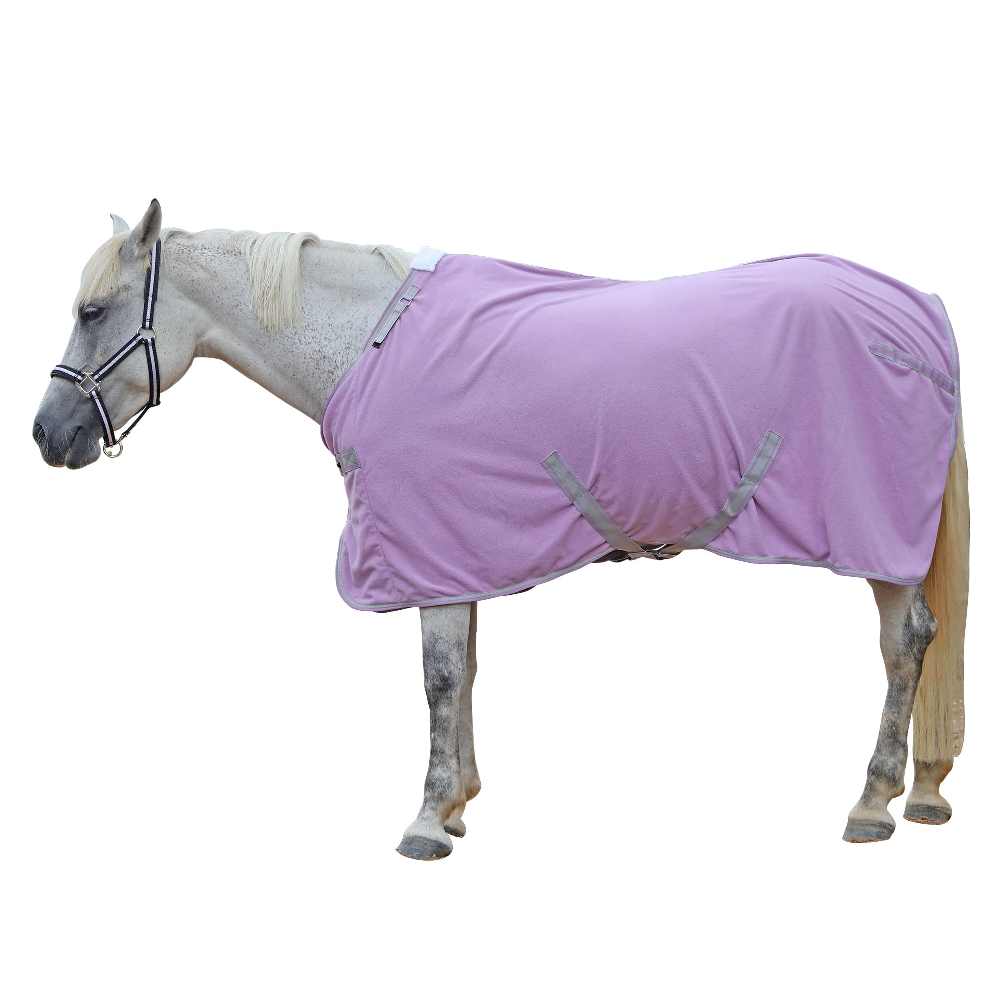 Leberna Fleece Cooler for Horses, Breathable Anti-Sweat Moisture-Wicking Quick-Dry Stable Rug for Post-Ride Care, Travel & Shows (Purple, 6'3")
