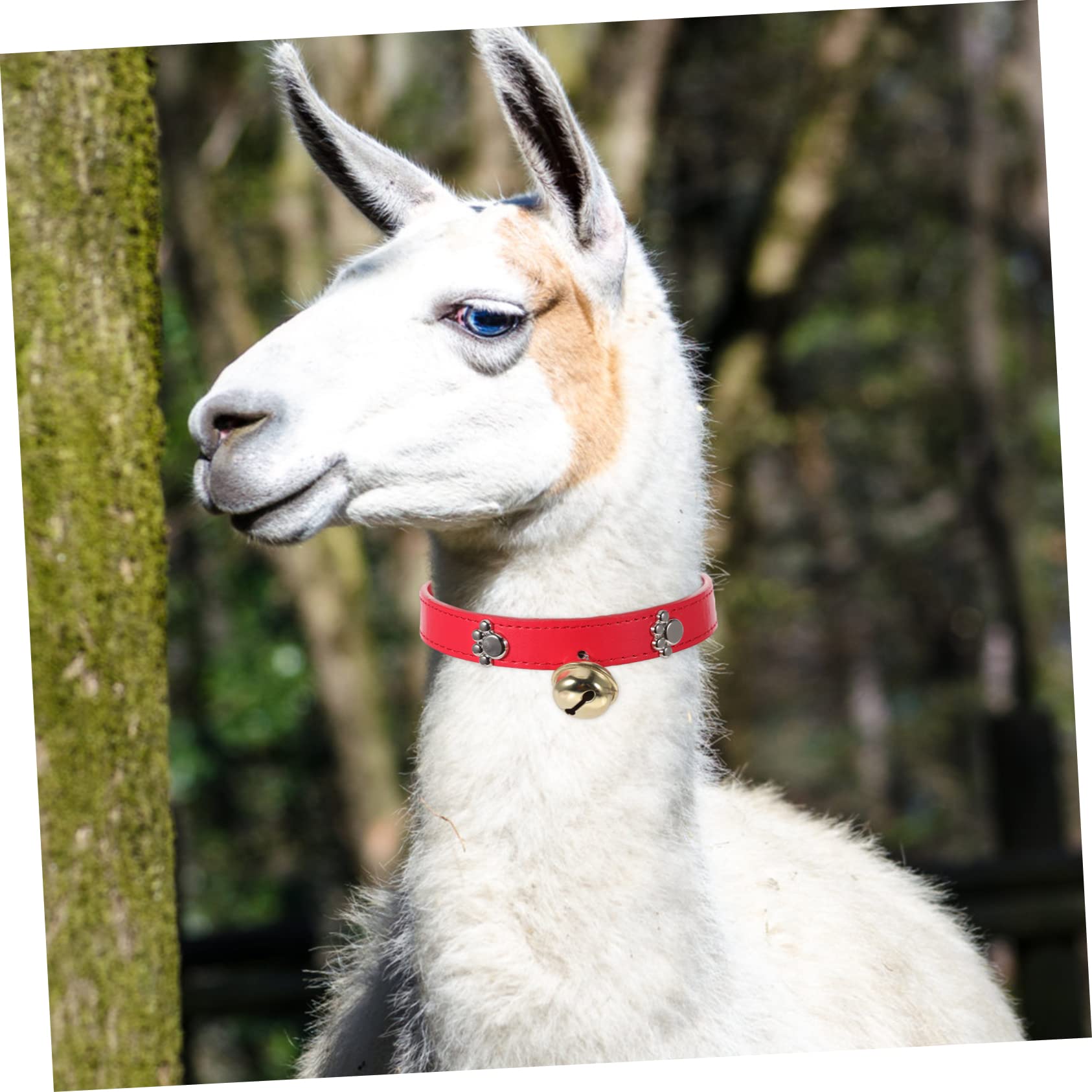 VICASKY Lot de 4 Colliers de Chèvre avec Clochettes en PU, Réglables avec Trous, Adaptés pour Moutons et Chèvres en Élevage Extérieur