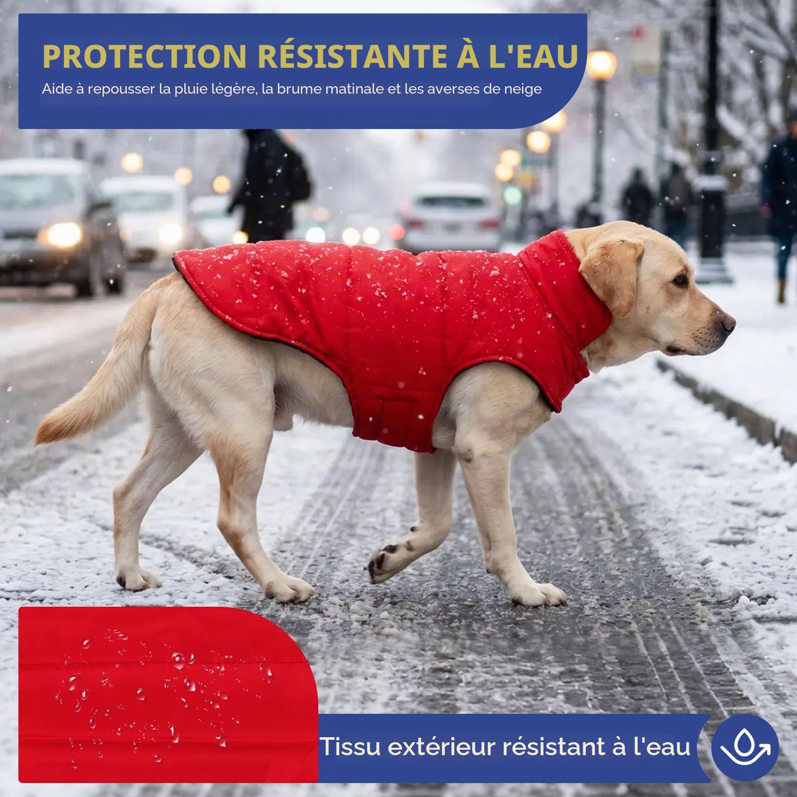 ASENKU Manteau d'hiver pour Chien Imperméable Coupe-Vent Veste Chaude Doublé en Polaire pour Chiot Gilet Vêtement Manteau Chien Hiver pour Petits Moyens Grands Chiens pour Teckel Bouledogue Francais