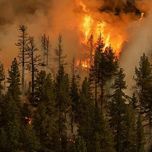 Miniatura 4 de MK01 MK06 DH-JH01 Filtro de repuesto True HEPA mejorado compatible con AROEVE MK01 MK06 y Kloudi DH-JH01 Purificador de aire