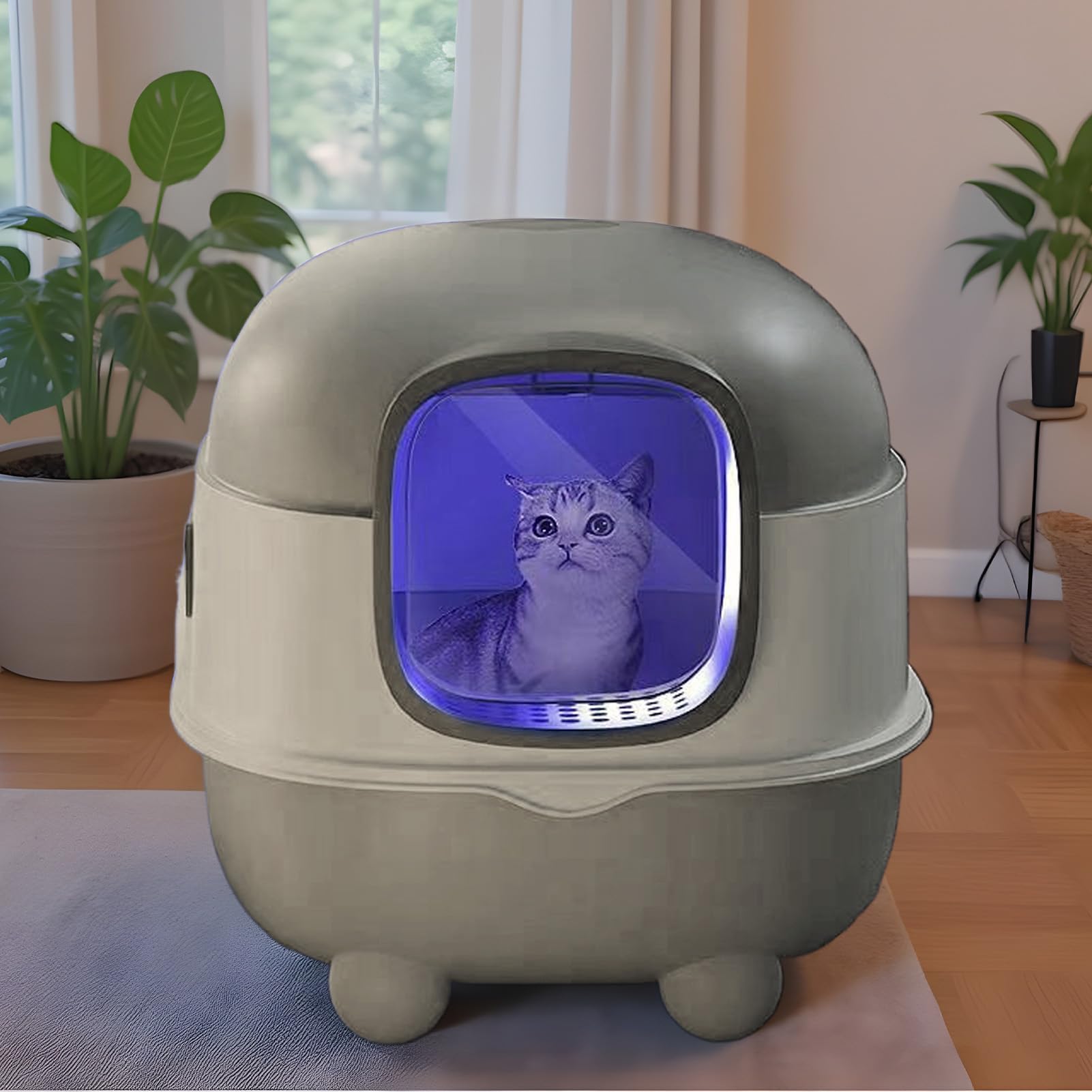 Katzentoilette Groß Offen - 22.05 pollici Katzenklo XXL | Offenes Katzen WC - Geräumige Katzentoilette Aus PP Mit Schaufel Und UV Hygiene Unterstützt Einfache Reinigung Und Saubere Umgebung