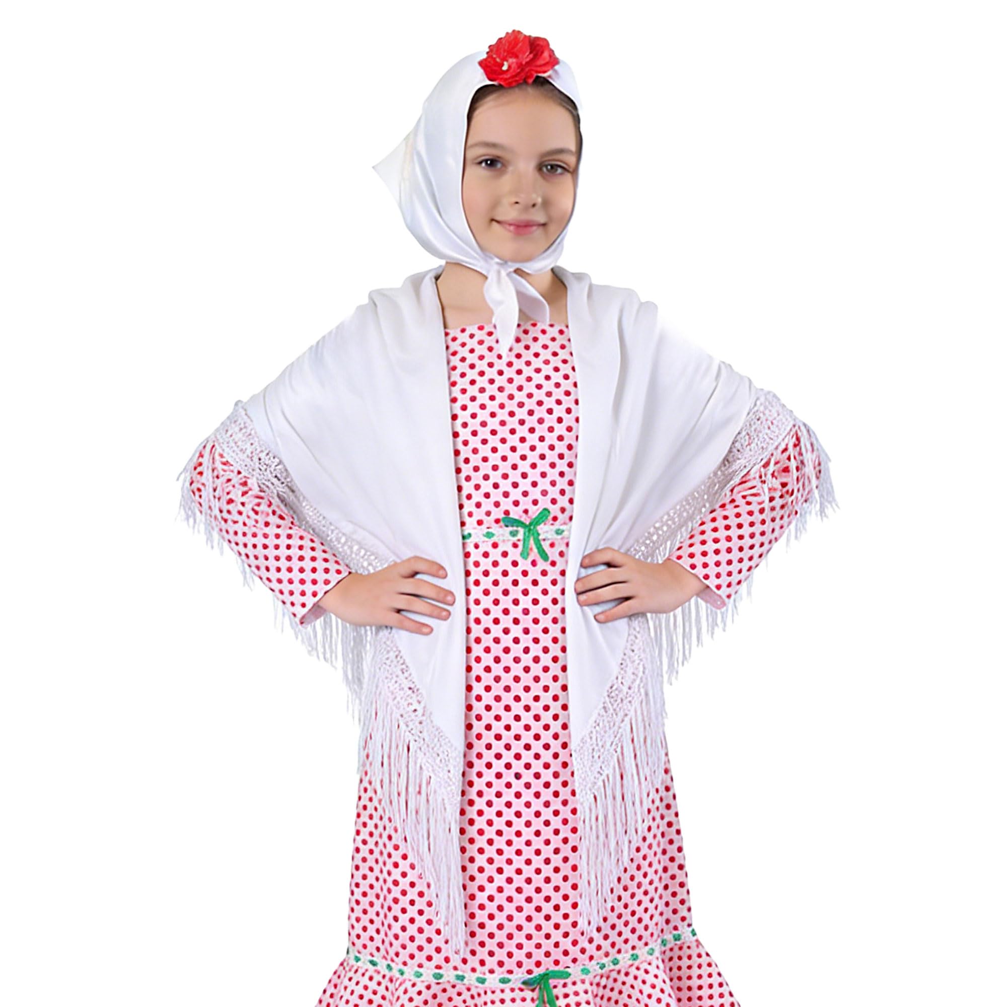 Wildarms Mantón de Sevillana Bordado con Flecos para Flamenco Feria Disfraz Baile Tradicional Mujer — view 4