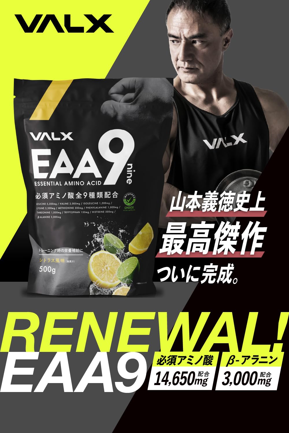 Amazon.co.jp: VALX バルクス EAA9 EAA BCAA ロイシン 