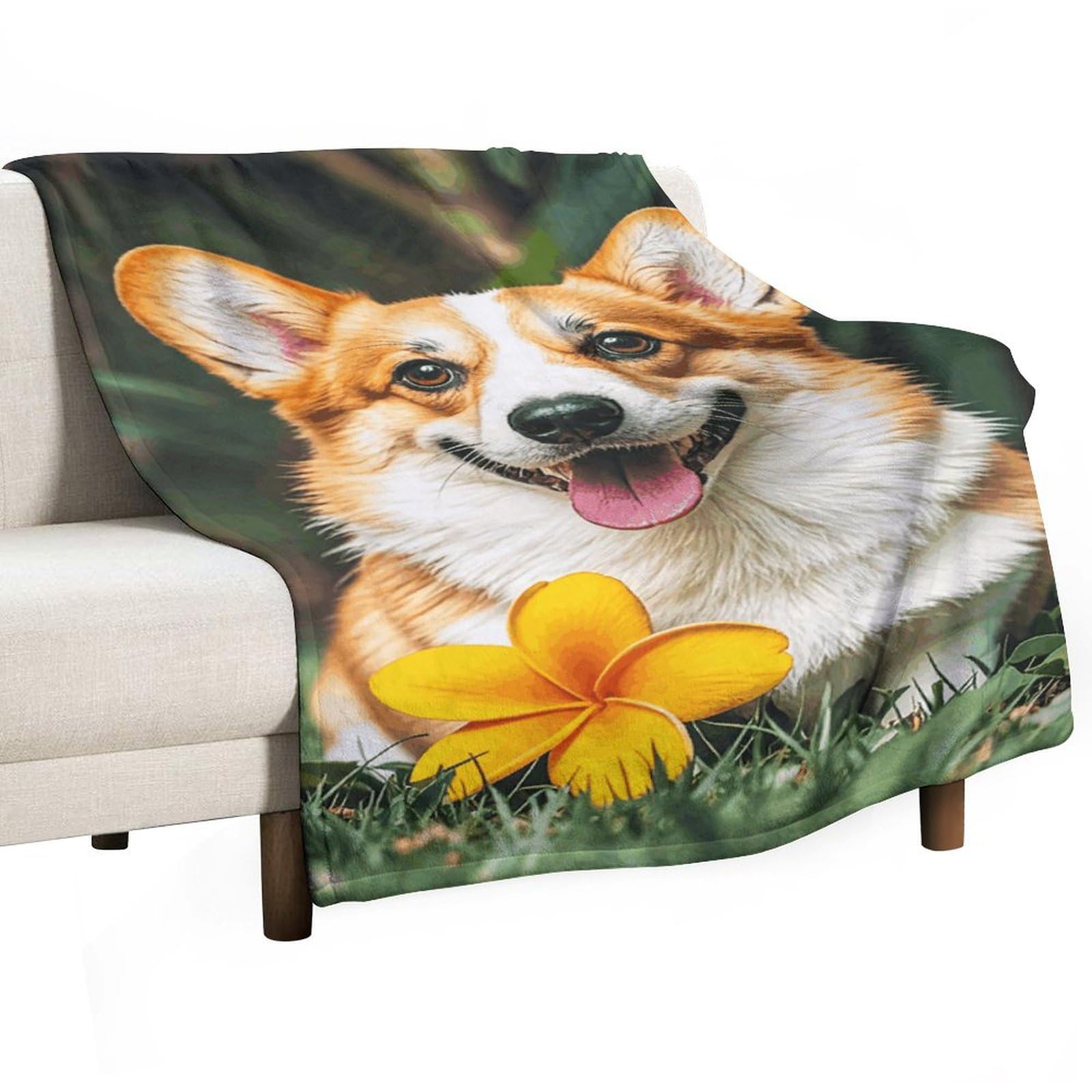 Plaid corgi en flanelle contre le froid : couverture légère canapé et lit 76x127