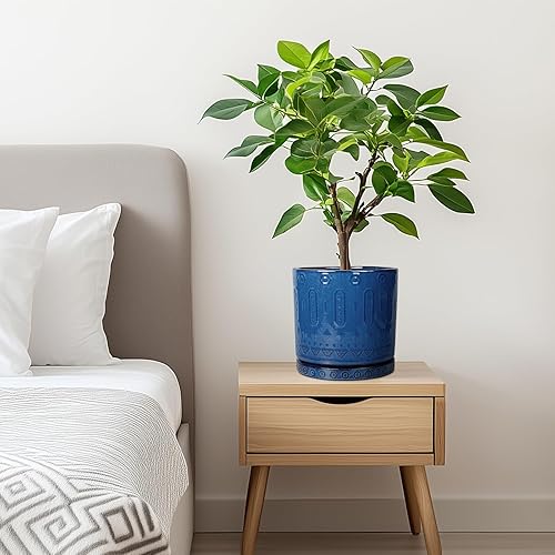 Miniatura 9 de Maceta de cerámica de 6 pulgadas para plantas de exterior, maceta de interior con agujeros de drenaje y platillo para suculentas, maceta redonda