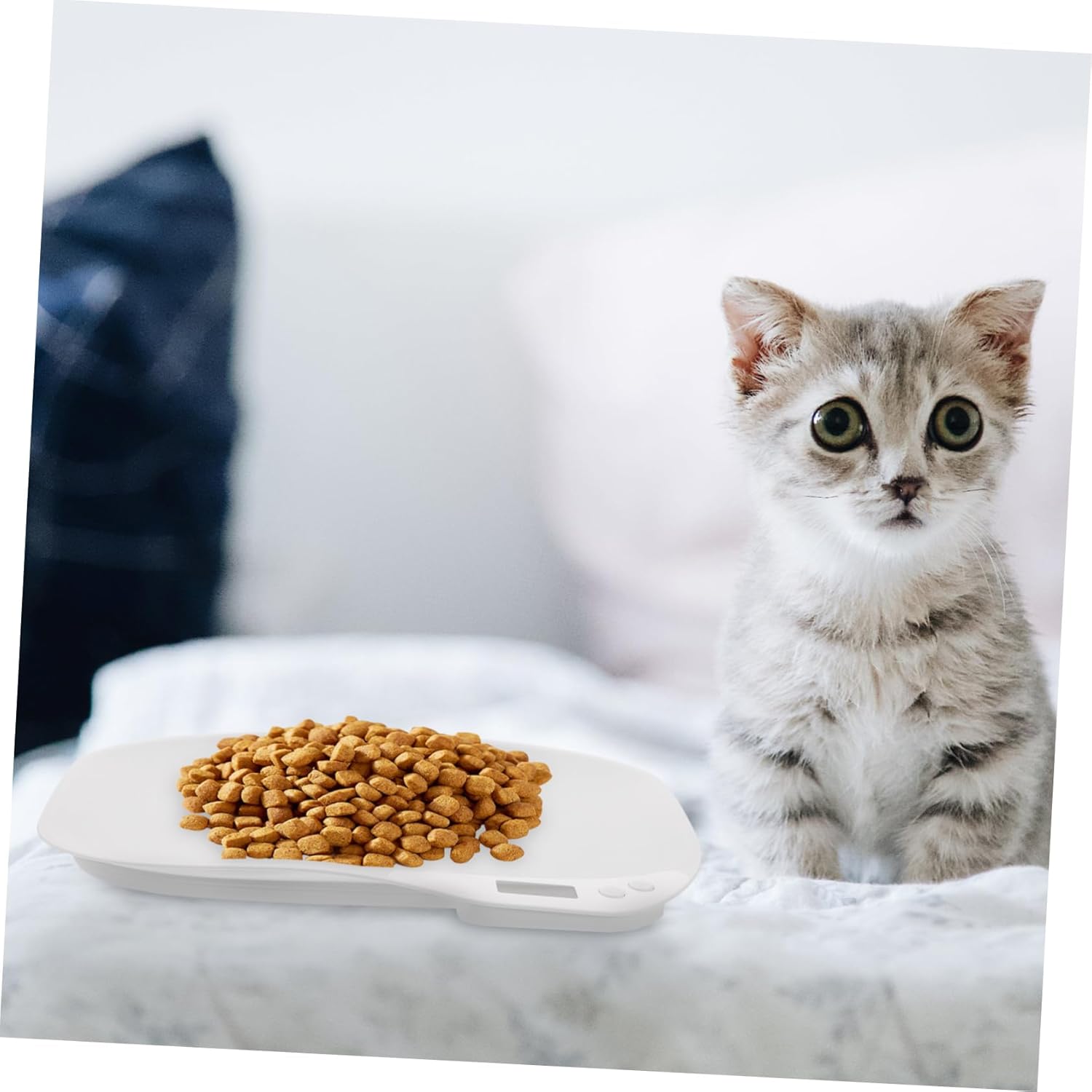 Digital Pet Scale with LED Display Multi Use Electronic Weighing for Puppies Cats Pets Up to Portable Weight Scale for Food and Monitoring