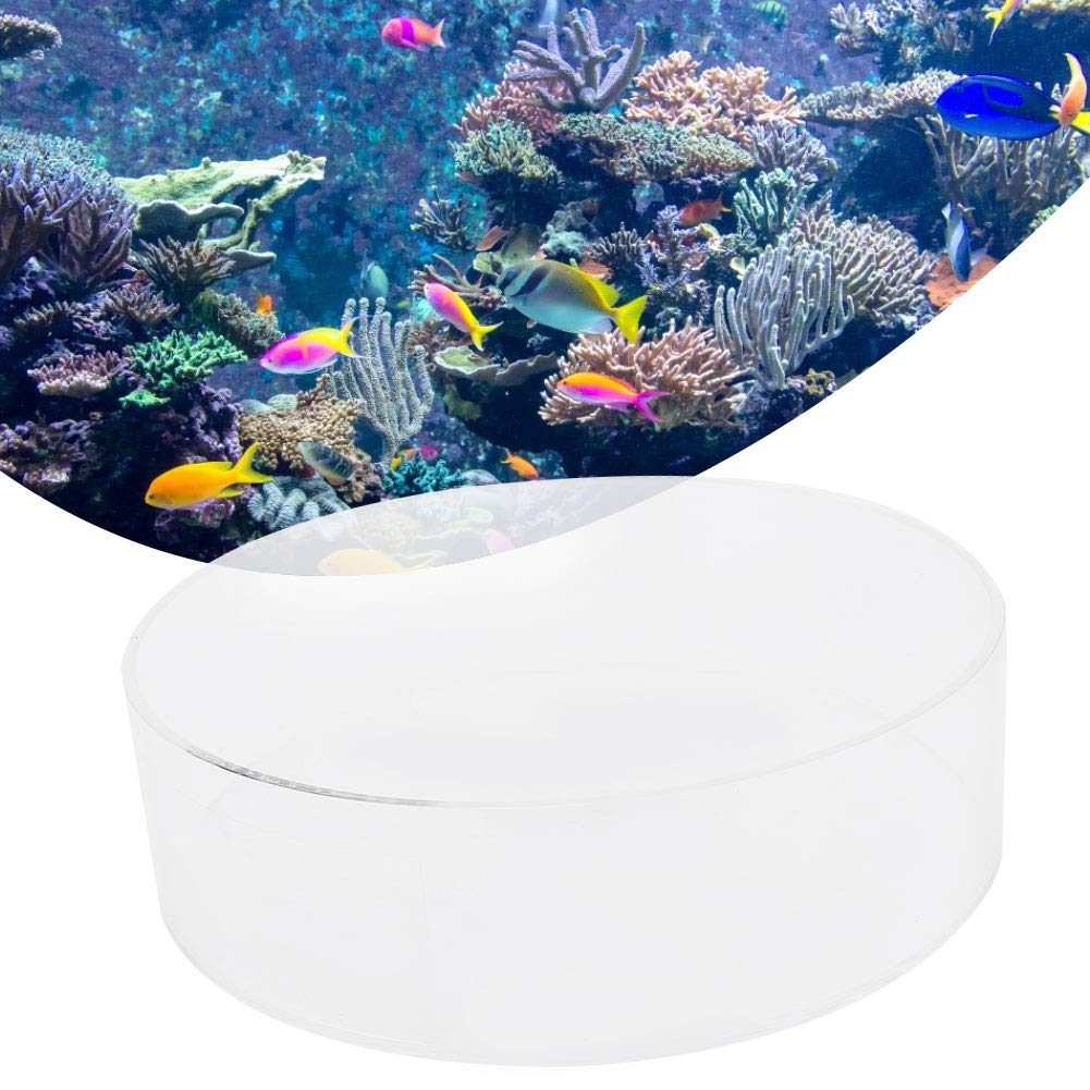 Visor De Coral Acrílico Transparente Pecera Lente De Observación De Coral Peces De Acuario Fotografía Cilindro Lupa Accesorio Para Pecera Para Ver Corales Y Tomar Fotografías(200mm)