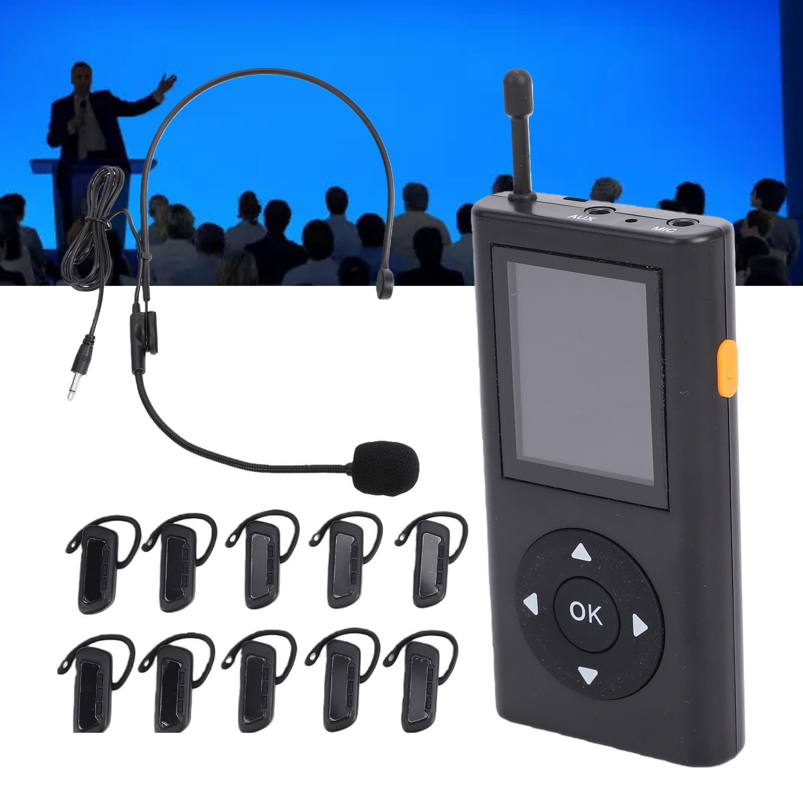 di Guida Turistica Wireless, 1 Trasmettitore 10 Ricevitori, Microfono e Cuffie per Guida Turistica per Visita Stabilimento, Scuola (Spina europea)