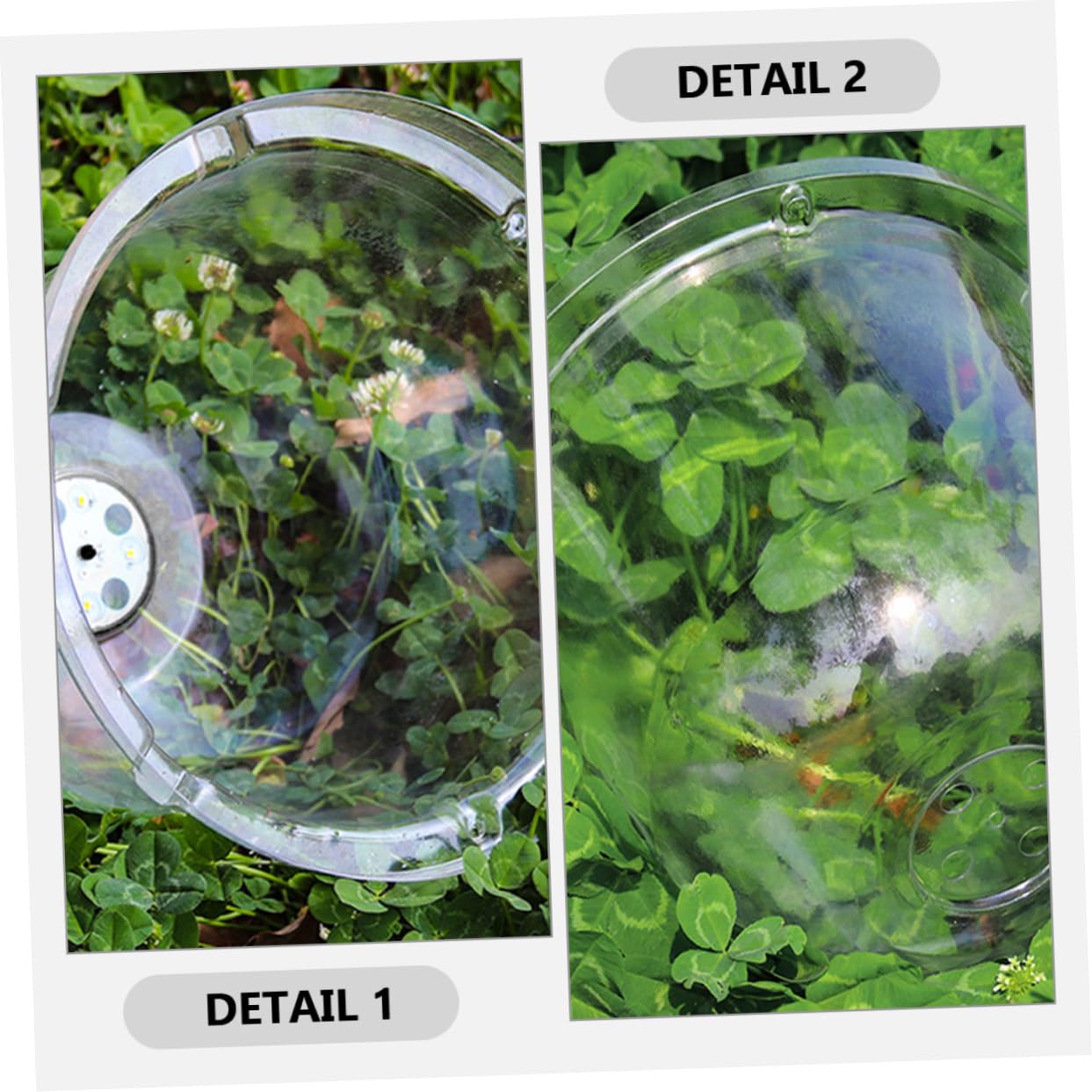 HANABASS 6 Pièces Cloche de Jardin Transparent pour Plantes Protection Gel et Humidité Couverture Domique pour Saine des Plantes pour Conditions Climatiques Variées