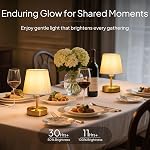 EppieBasic Rechargeable Table Lamp Cordless: Fast Charging & Long Lasting - 2700K Warm Light Vintage Small Gold Lamps for Women Housewife - Living Room Bedroom