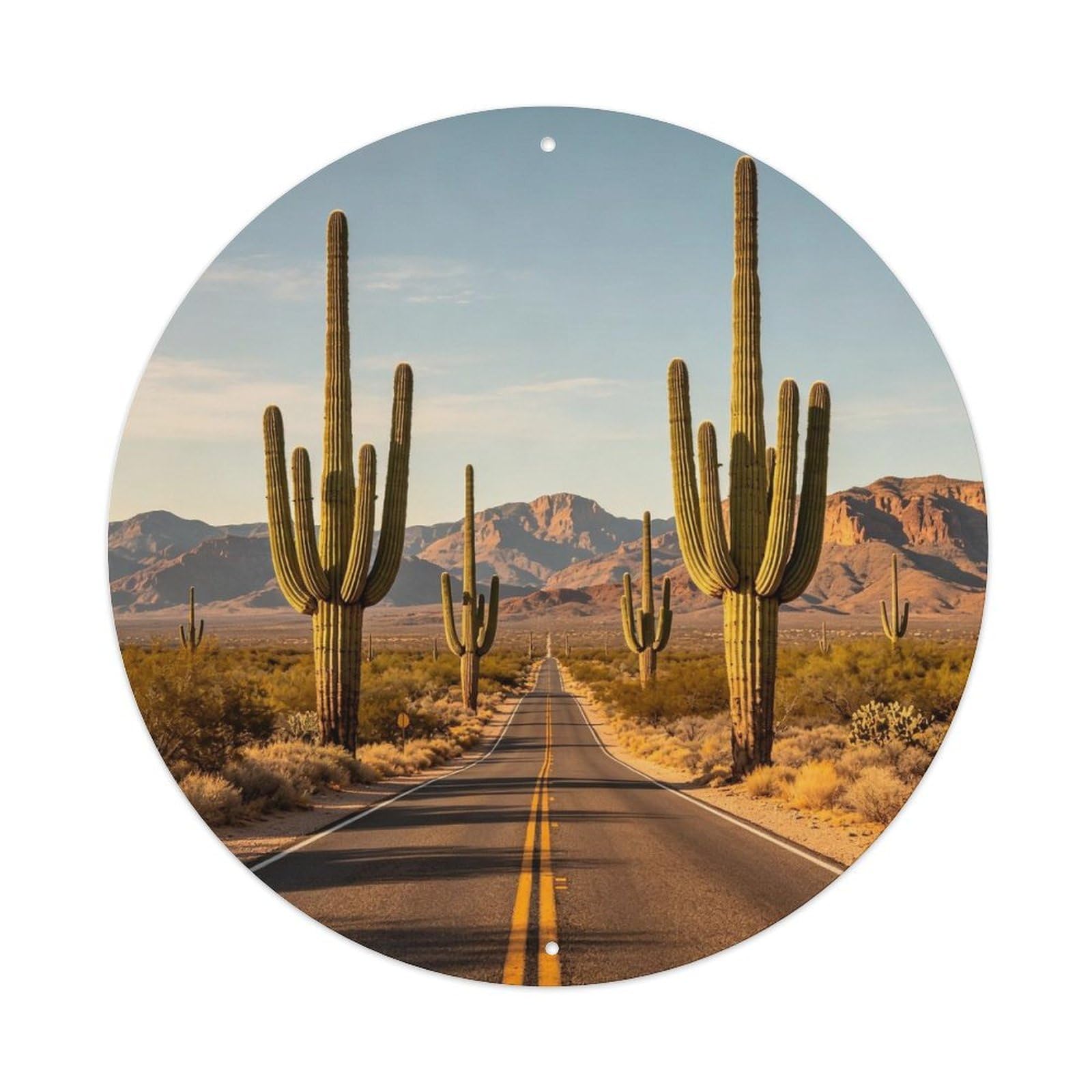 Saguaro Cactus Arizona Desert Road Metal Tin Sign Plaque
