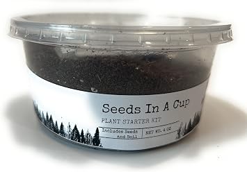 Seeds in A Cup - Plant Growing Kit Chamomile