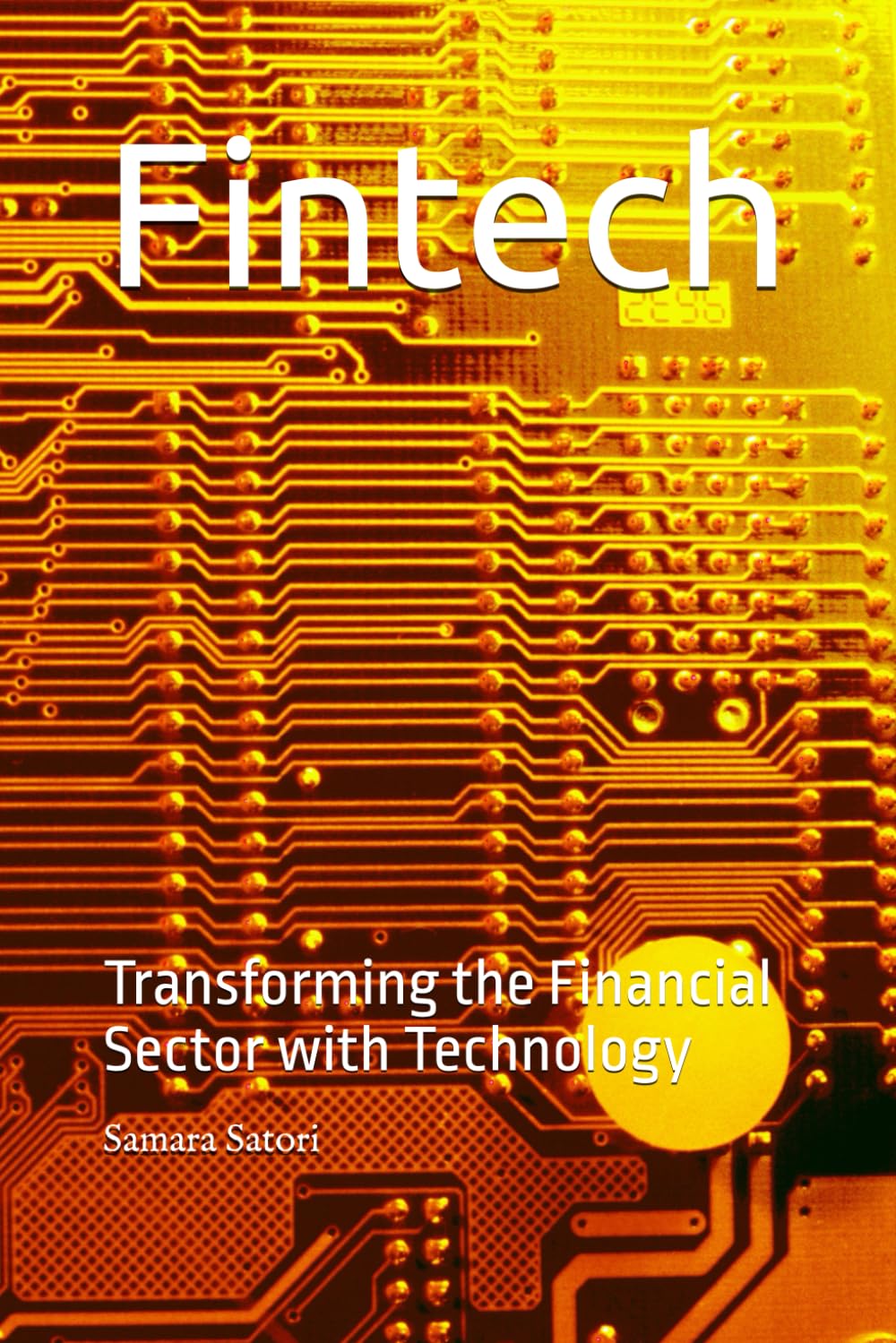 Fintech: Transforming the Financial Sector with Technology