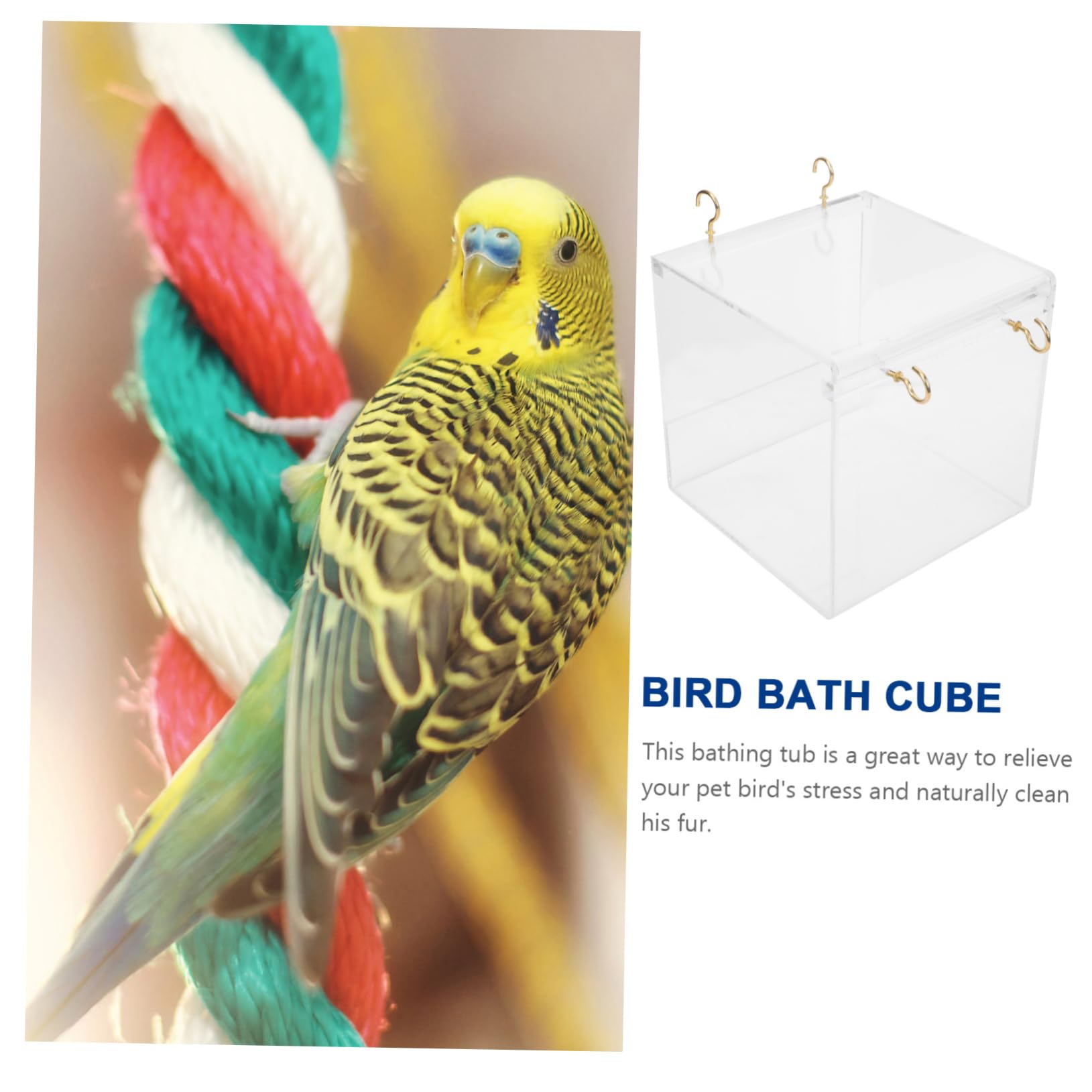 Bassin de Baignade pour Oiseaux, Boîte de Bain en Plastique Blanc
