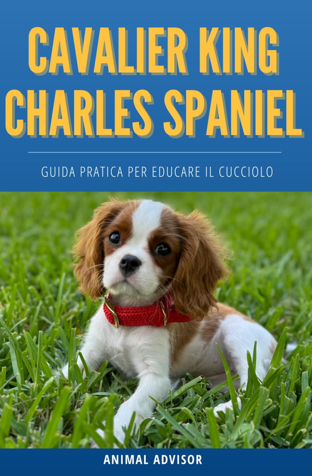 ARRIVA UN CAVALIER KING CHARLES SPANIEL: Guida Pratica per Educare il Cucciolo, Educazione Cane, Cuccioli Libro, Cavalier King Charles Spaniel Libro