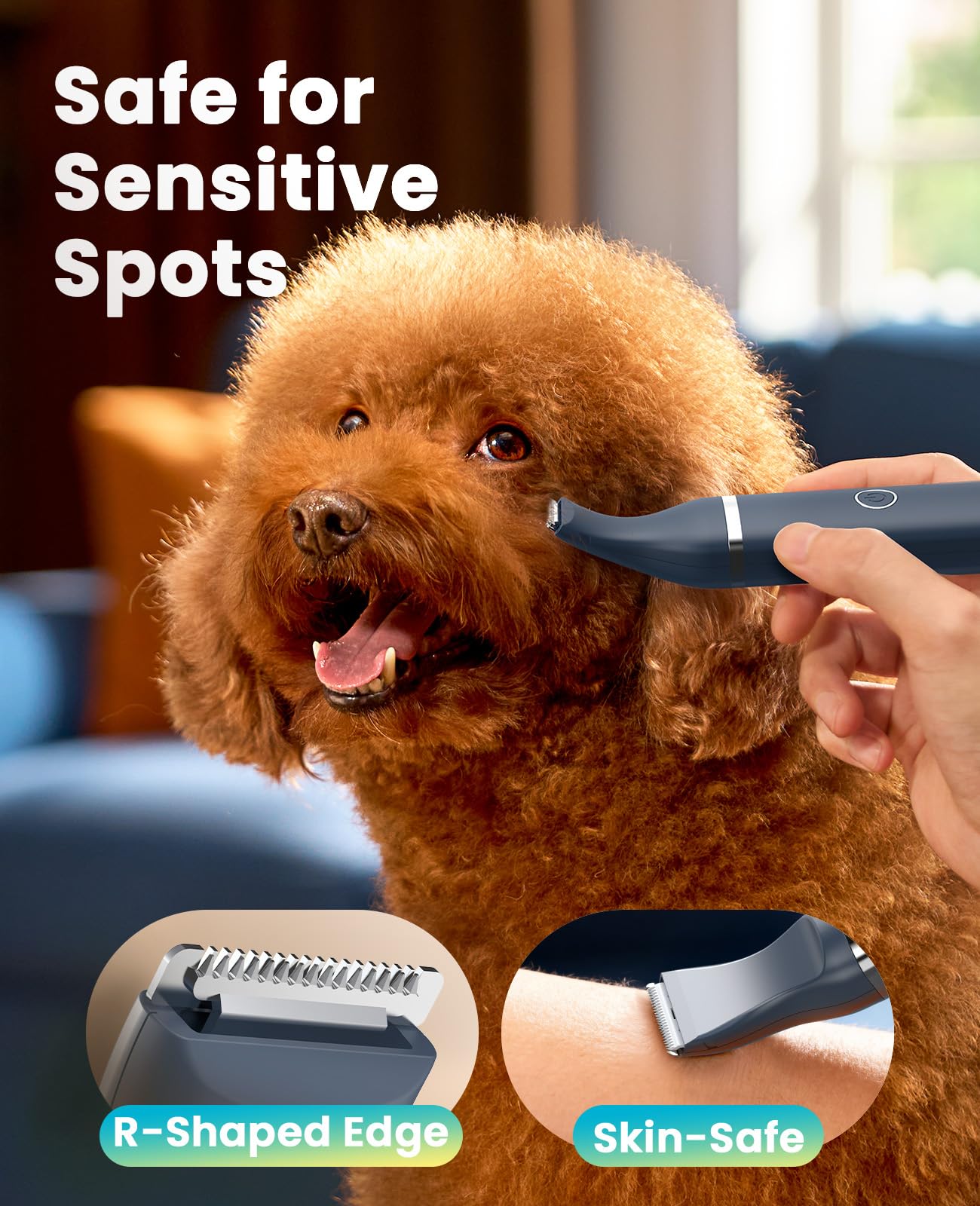 oneisall Tondeuse pour chien avec double lame, tondeuse sans fil pour petits animaux de compagnie, faible bruit pour couper les poils du chien autour des pattes, yeux, oreilles, visage, croupe