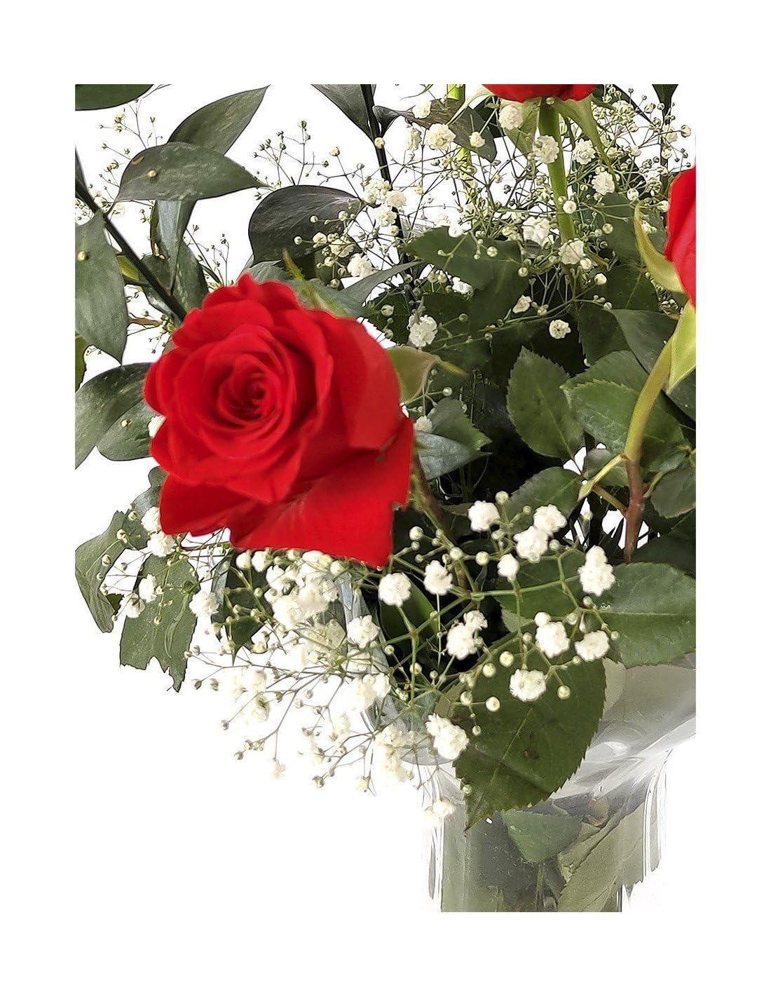 JARDIN202 - Ramo de Rosas Rojas Naturales | Flor Natural | Ramo de rosas rojas frescas | 60cm de alto | Ramo de 6 tallos (Estilo tradicional)