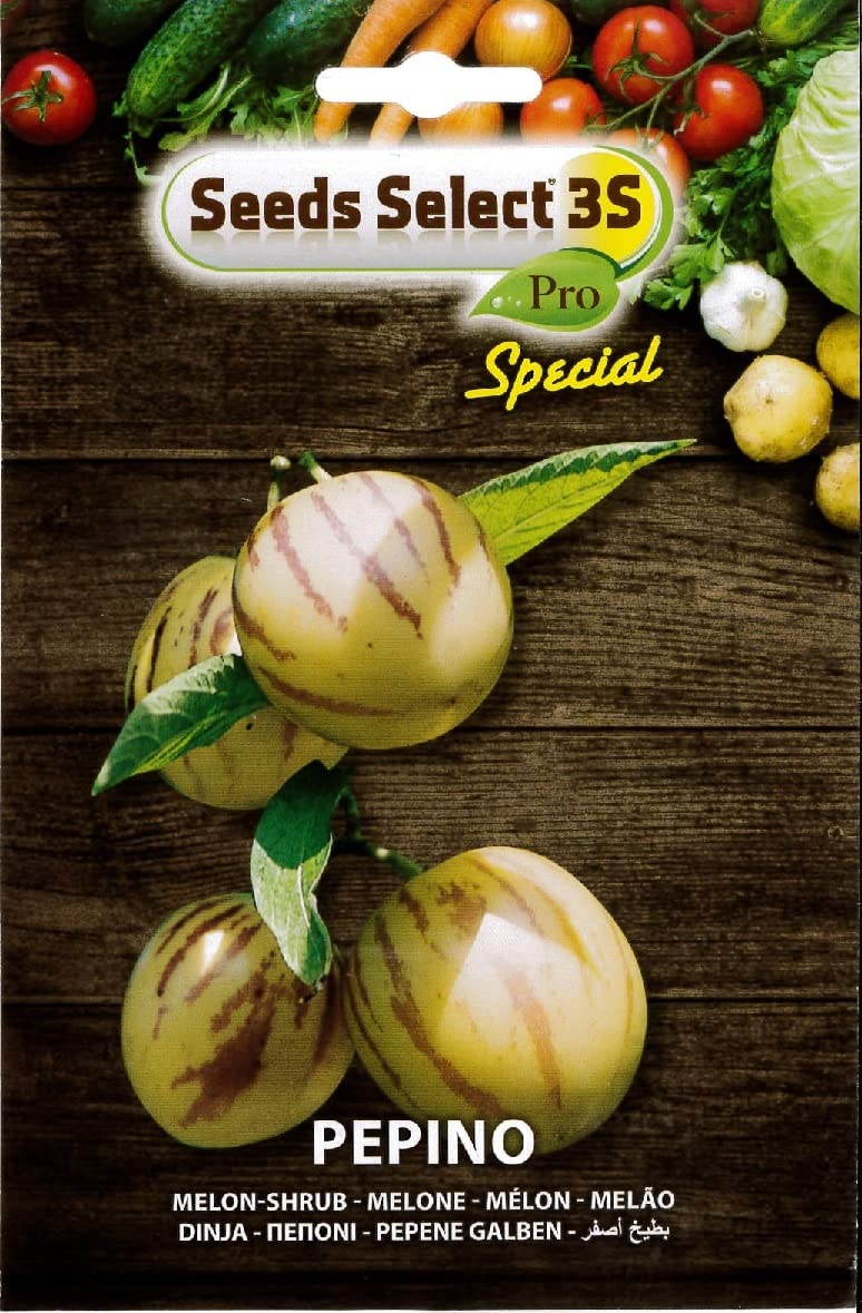 PEPINO (BUSTINA DA 3 SEMI)