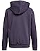 The North Face Kids Evolution Simple Dome Pullover Hoodie (Little Kid/Big Kid) - #2 of 3