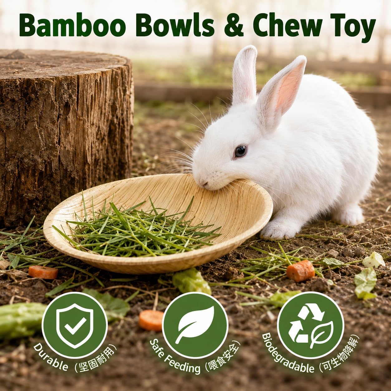 50 Pack Round Bamboo Bunny Bowls for Small Pet Feeding | Natural 4 in bamboo dishes, disposable chewable feeding bowls for rabbits, bunnies and small pets