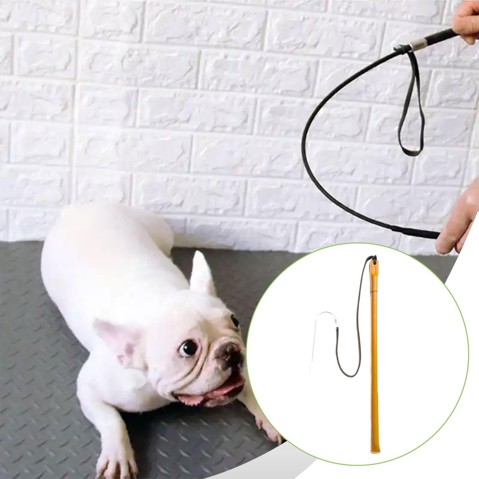 Harilla Látigo de adiestramiento canino para Entrenamiento de obediencia. Herramienta de Entrenamiento de Resistencia y Comportamiento. Varilla de disciplina