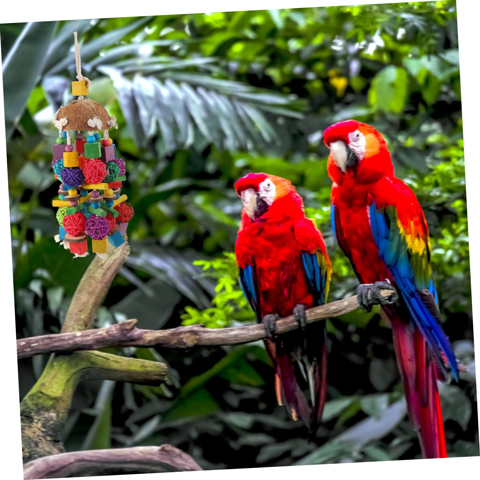 BESPORTBLE 1pezzi Giocattolo Per Pappagalli e Cocco Accessorio Da Masticare Appeso Per Uccelli Giocattolo Divertente Per Parakeet e Cockatiel Migliora Benessere Degli Animali Domestici