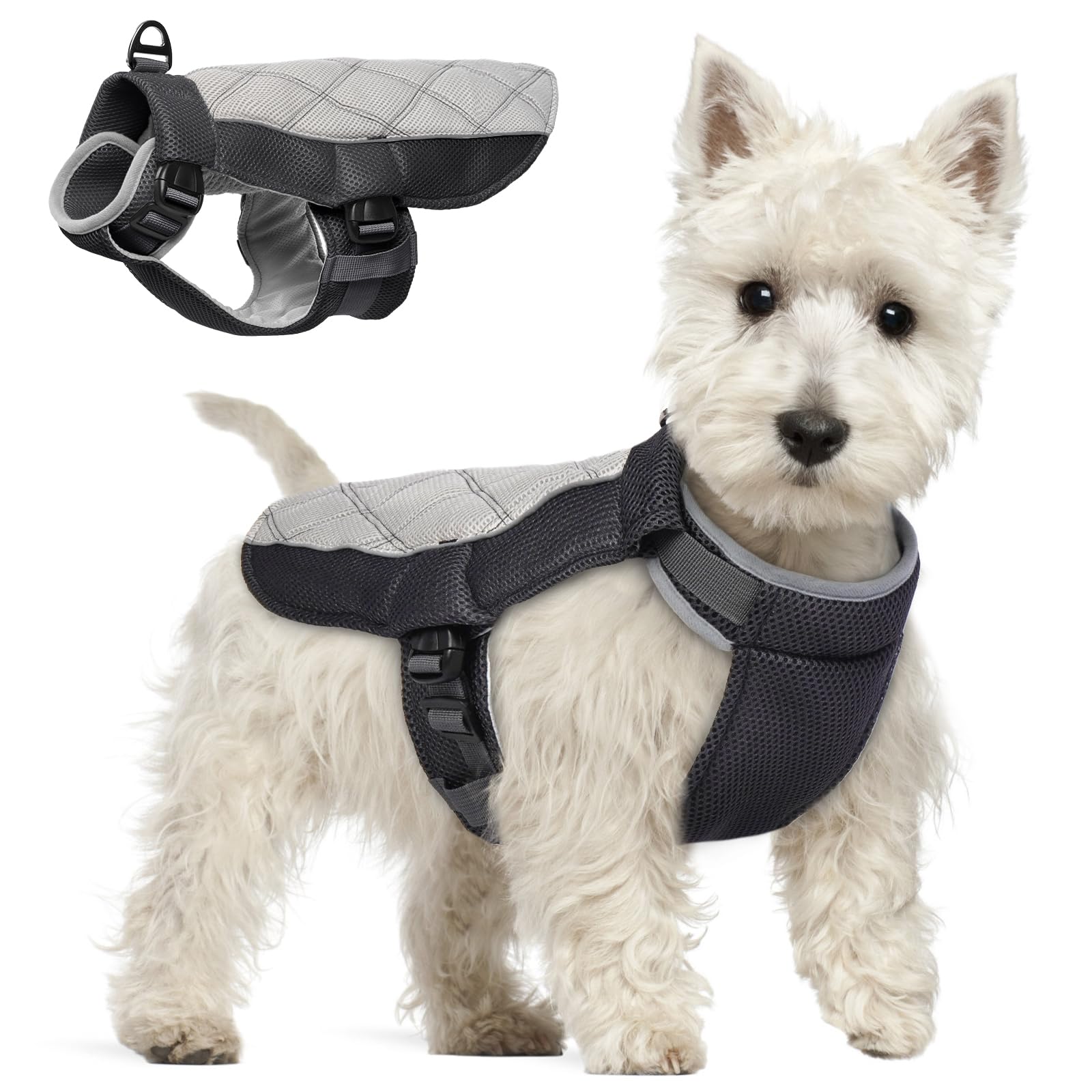 Giubbotto Refrigerante Cane, Confortevole Cappottino Refrigerante per Cani Gilet Rinfrescante Cane Traspirante Giubbotto Cani con Pettorina per Calde Giornate Estive, Grigio Antracite M