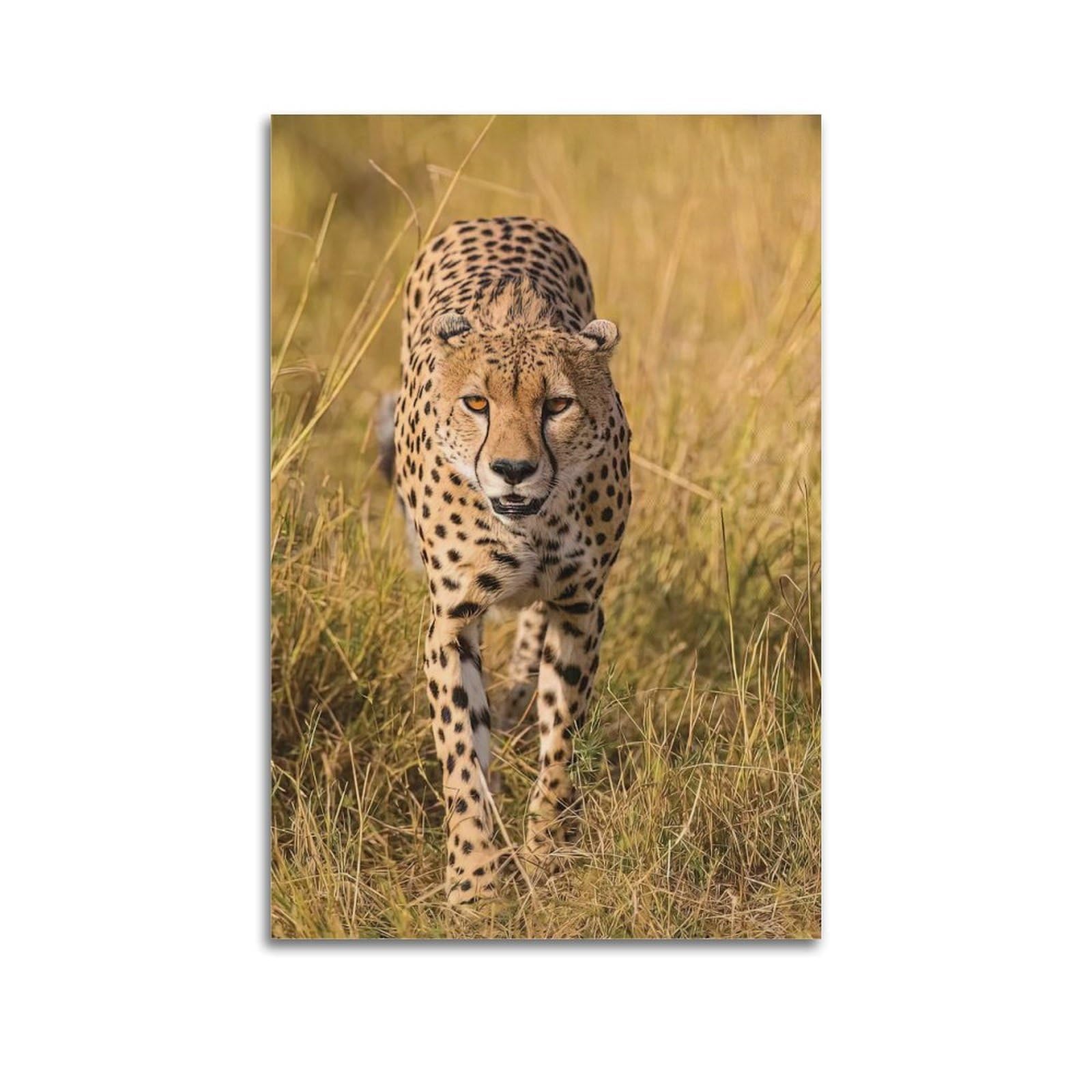 MJZLQN Animal Poster of Cheetah Hunting on The Plains Poster Decorative Painting Canvas Wall Posters And Art Picture Print Modern Family Bedroom Decor Posters 24x36inch(60x90cm)