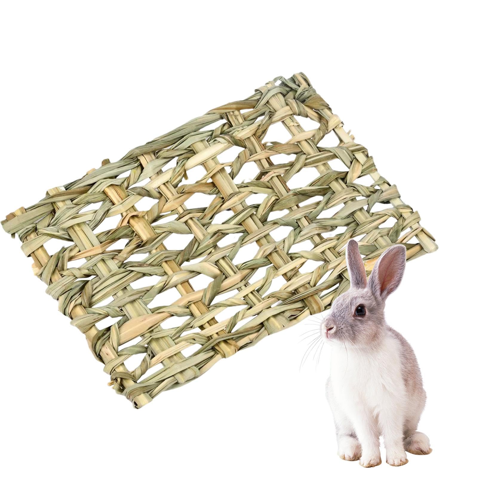 Bunny Grass Tunnel House Handmade Grass Interactive Chew Toy