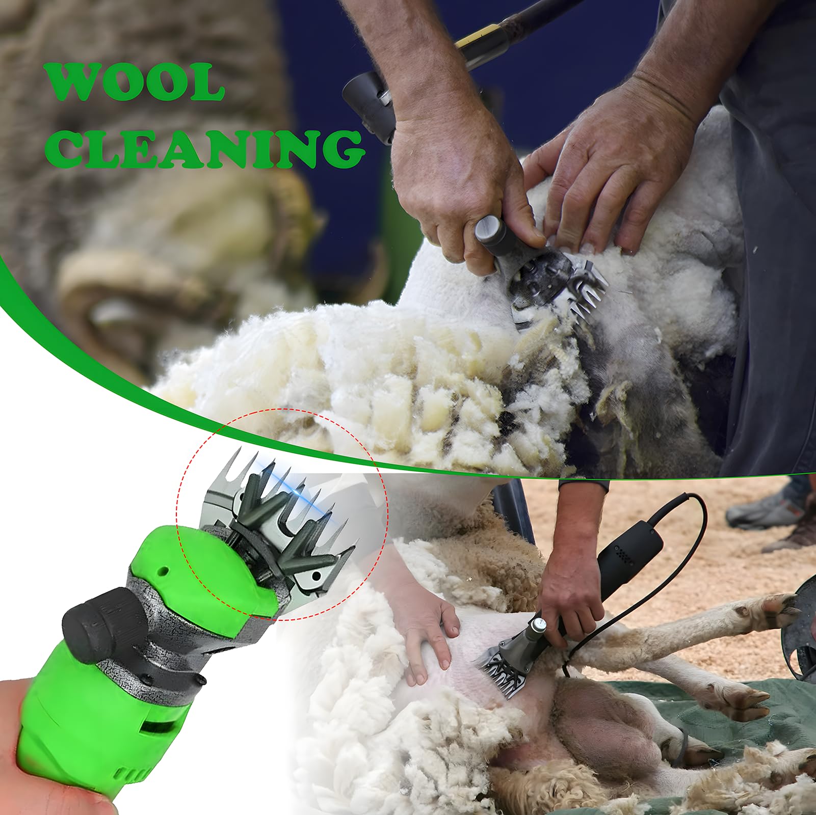 Lames de tondeuse professionnelles en acier inoxydable pour moutons, alpagas, chèvres (9 dents droites), lames de rechange pour tondeuse à poils épais