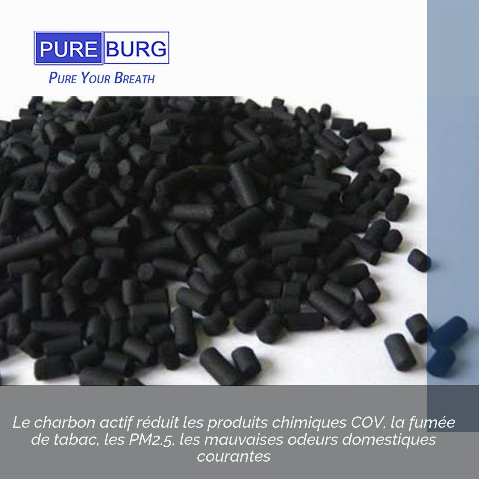 PUREBURG Lot de 2 filtres de rechange compatibles avec les déshumidificateurs BLACK+DECKER BXDH12E 12 l, filtre à charbon actif COV, purificateur d'odeurs