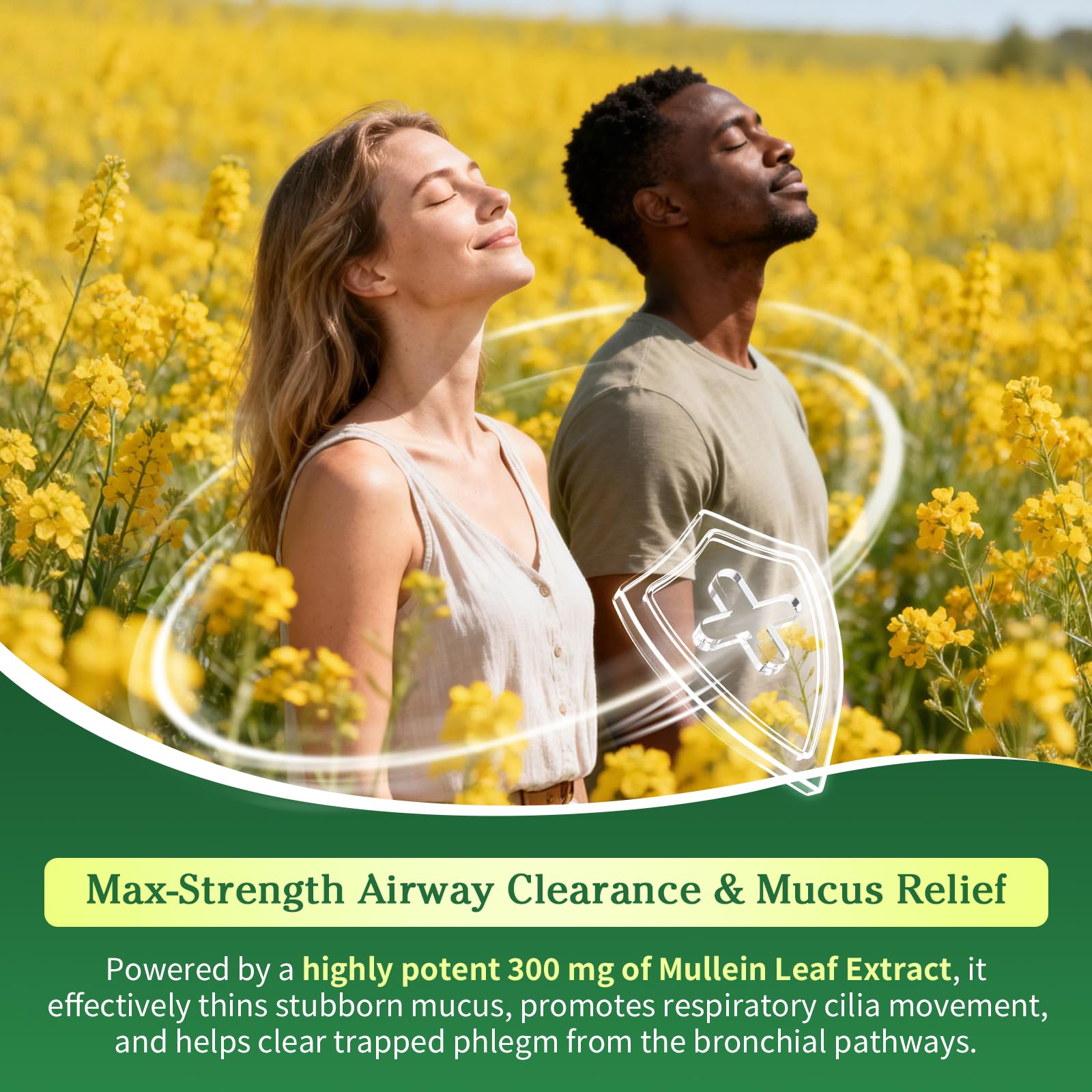 Mullein Drops for Lungs, Alchol-Free Lung Detox with Chlorophyll - 2 oz — Amazon image 2