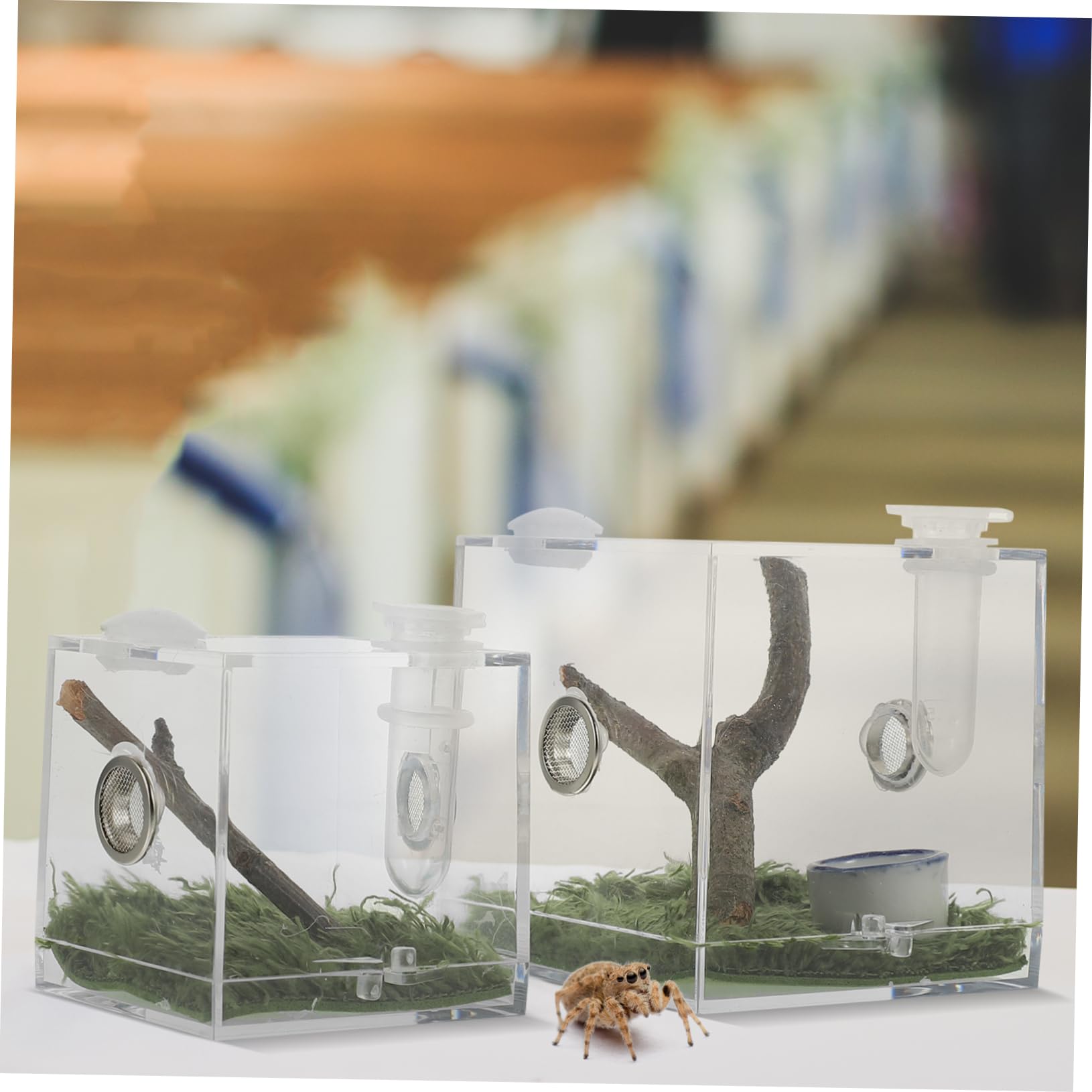 PATKAW Spinnen Terrarium 2-tlg - Acryl Behälter Für Insekten & Reptilien