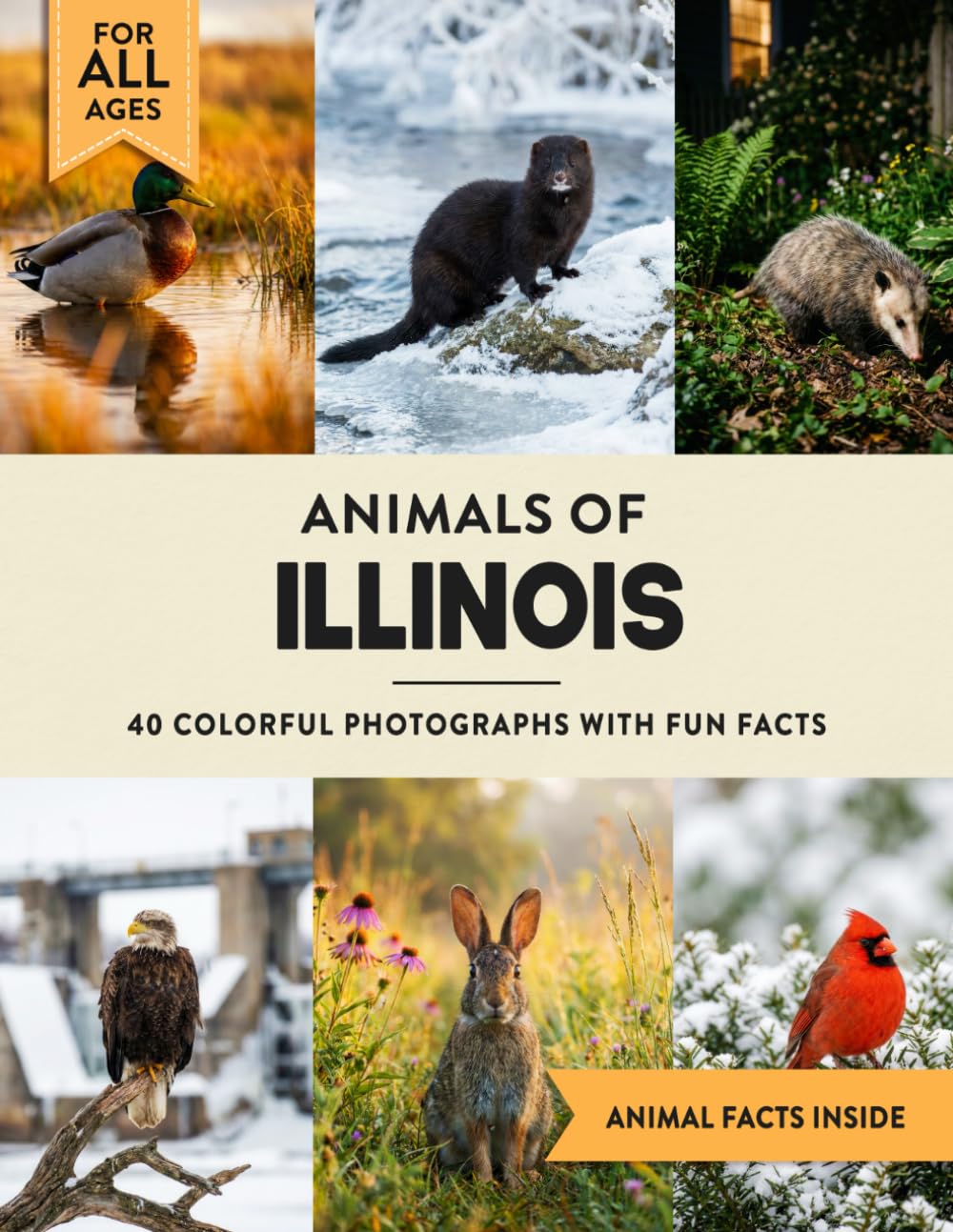 Animals of Illinois: Learn All About Prairie State Wildlife in a Fun Fact Picture Book for Kids and Adults