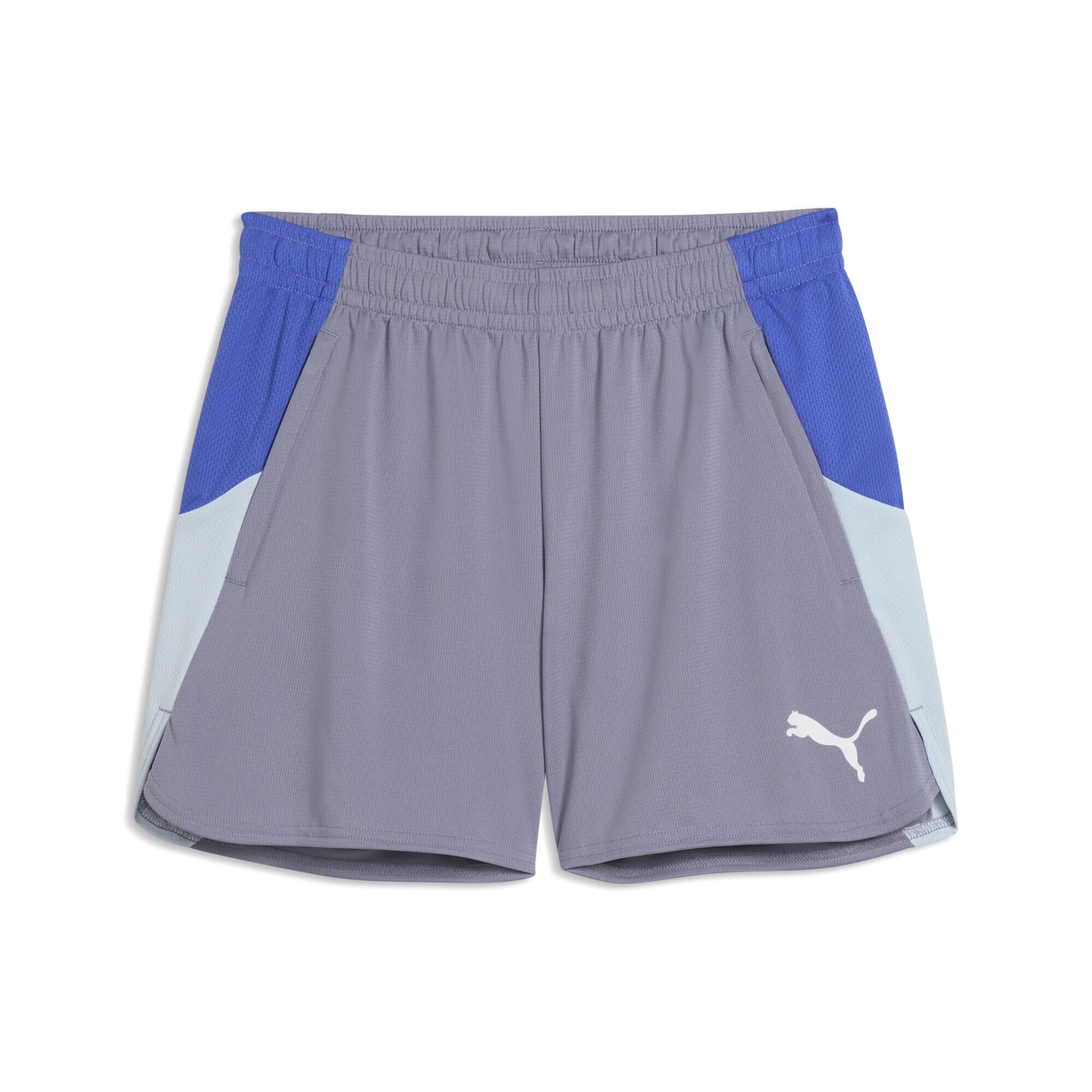 PUMA individualBLAZE Shorts